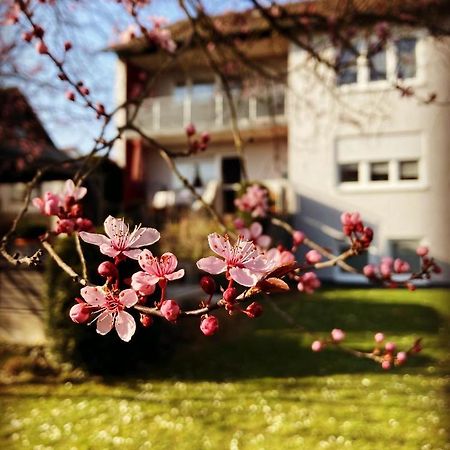 Ferienwohnung Im Aalbachtal - Uettingen Bei Wuerzburg Kültér fotó