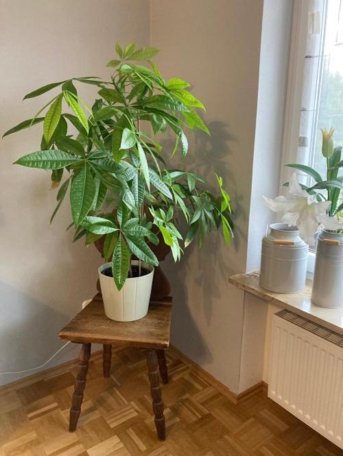 Ferienwohnung Im Aalbachtal - Uettingen Bei Wuerzburg Kültér fotó